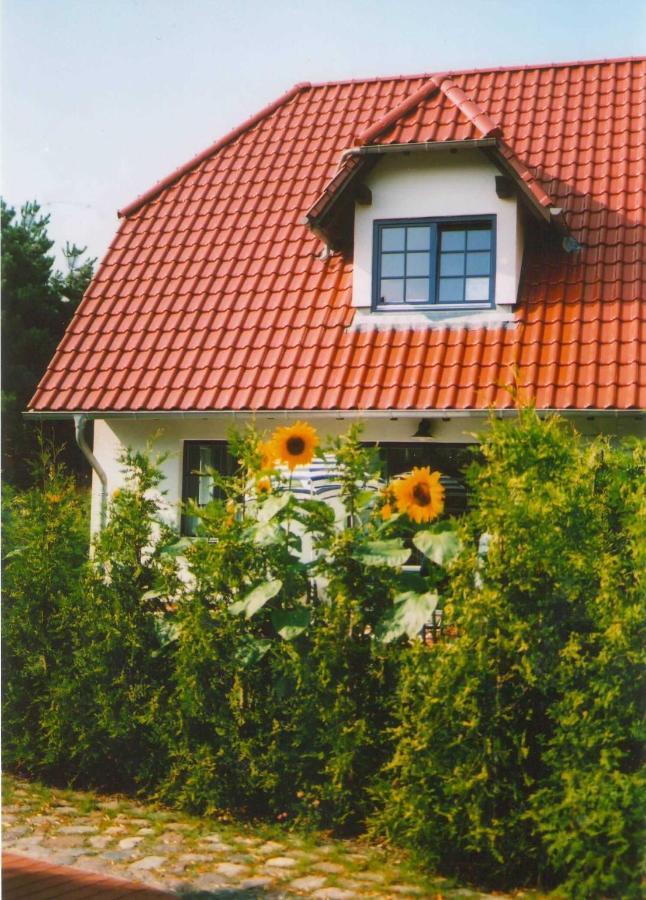 Apartamento Lindenstr_32B Zingst Exterior foto